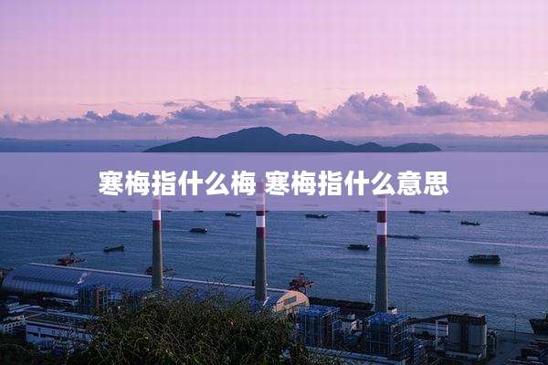 寒梅指什么梅 寒梅指什么意思