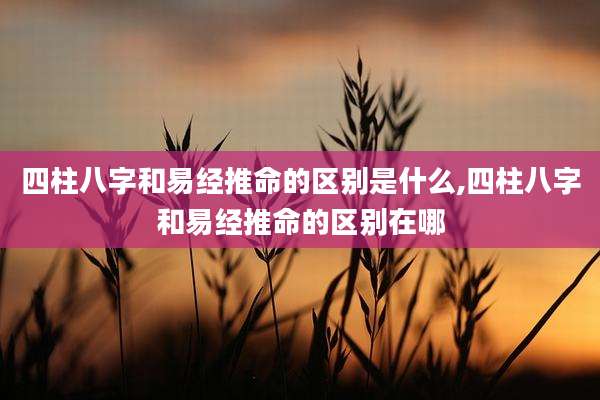 四柱八字和易经推命的区别是什么,四柱八字和易经推命的区别在哪