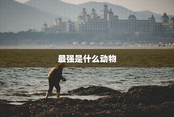 最强是什么动物