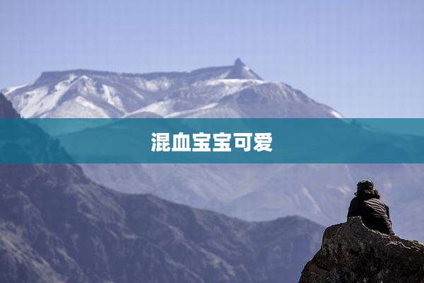 混血宝宝可爱