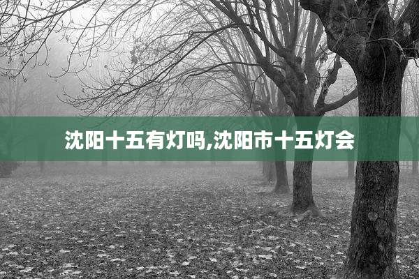 沈阳十五有灯吗,沈阳市十五灯会