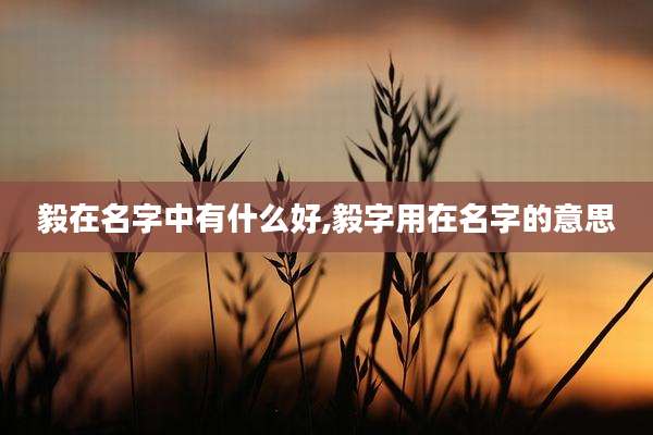 毅在名字中有什么好,毅字用在名字的意思