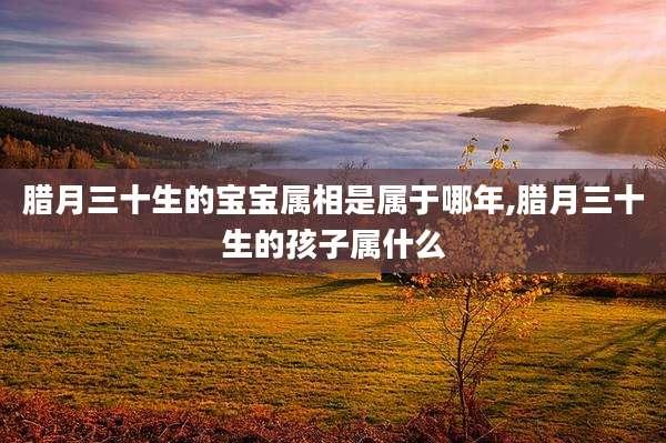 腊月三十生的宝宝属相是属于哪年,腊月三十生的孩子属什么