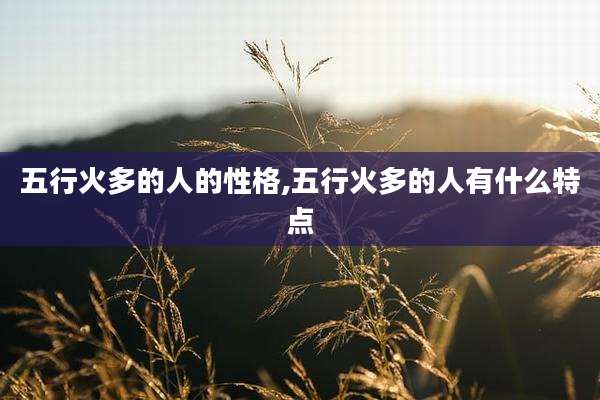 五行火多的人的性格,五行火多的人有什么特点