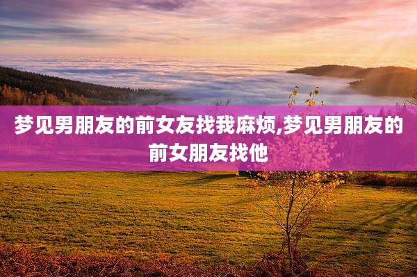 梦见男朋友的前女友找我麻烦,梦见男朋友的前女朋友找他