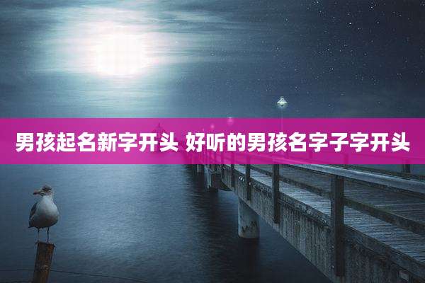 男孩起名新字开头 好听的男孩名字子字开头