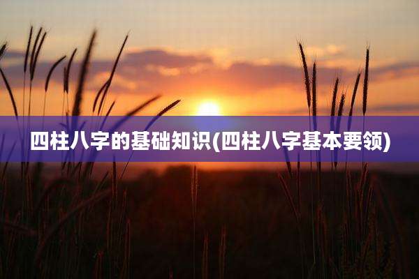 四柱八字的基础知识(四柱八字基本要领)