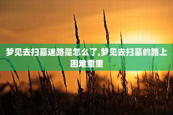 梦见去扫墓迷路是怎么了,梦见去扫墓的路上困难重重