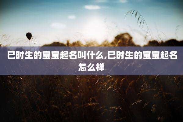 巳时生的宝宝起名叫什么,巳时生的宝宝起名怎么样
