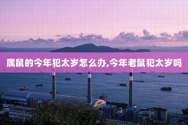 属鼠的今年犯太岁怎么办,今年老鼠犯太岁吗