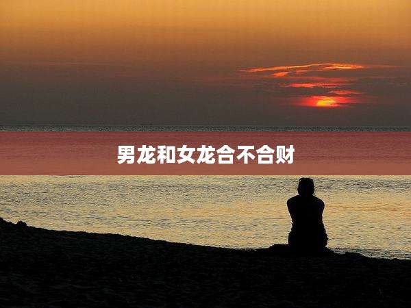 男龙和女龙合不合财