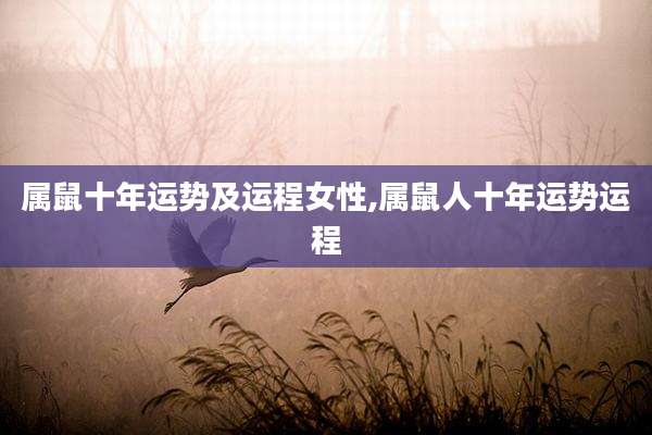属鼠十年运势及运程女性,属鼠人十年运势运程