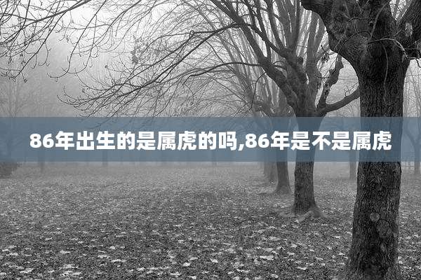86年出生的是属虎的吗,86年是不是属虎