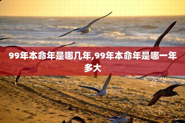 99年本命年是哪几年,99年本命年是哪一年多大