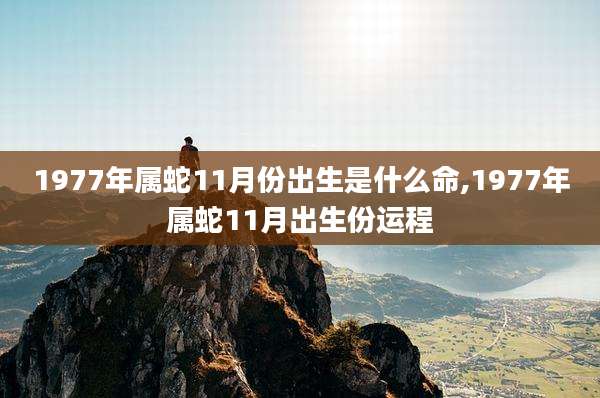 1977年属蛇11月份出生是什么命,1977年属蛇11月出生份运程
