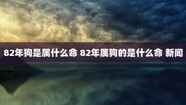 82年狗是属什么命 82年属狗的是什么命 新闻