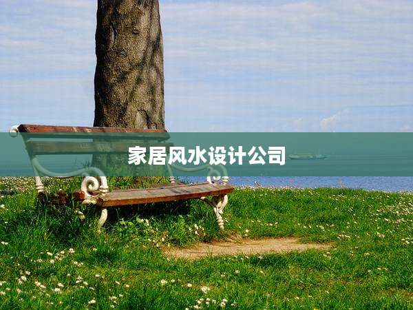 家居风水设计公司