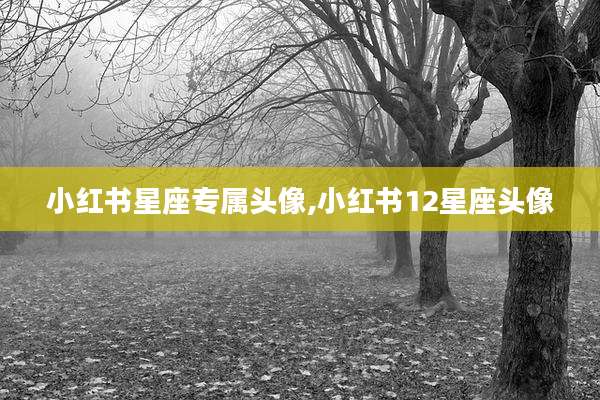 小红书星座专属头像,小红书12星座头像