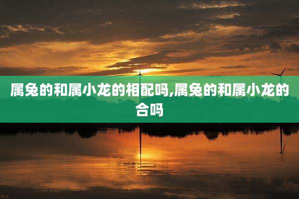 属兔的和属小龙的相配吗,属兔的和属小龙的合吗