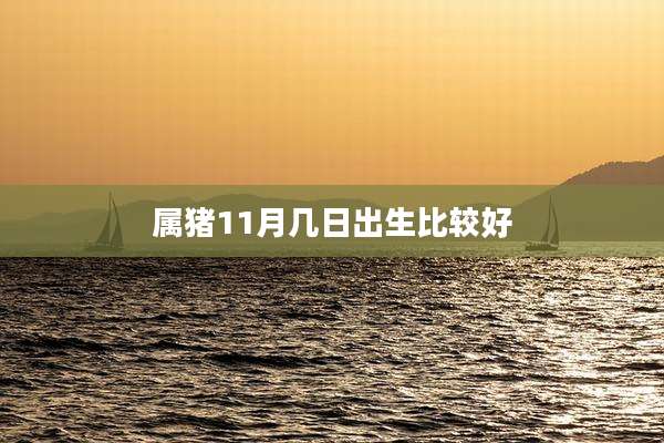 属猪11月几日出生比较好