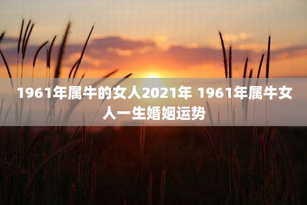 1961年属牛的女人2021年 1961年属牛女人一生婚姻运势