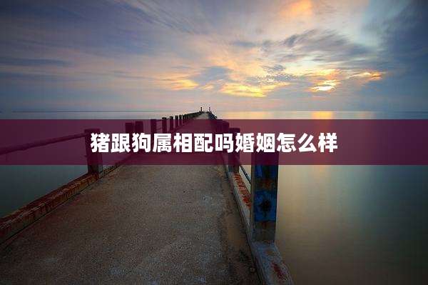 猪跟狗属相配吗婚姻怎么样