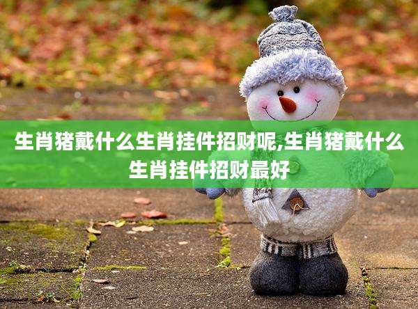 生肖猪戴什么生肖挂件招财呢,生肖猪戴什么生肖挂件招财最好