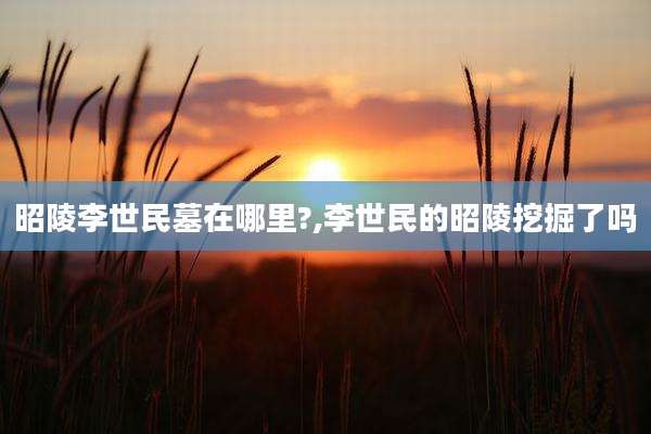 昭陵李世民墓在哪里?,李世民的昭陵挖掘了吗