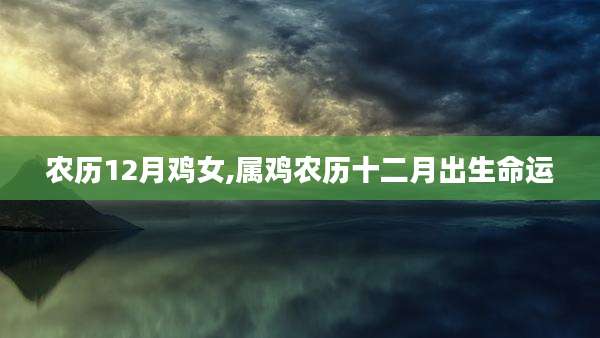 农历12月鸡女,属鸡农历十二月出生命运