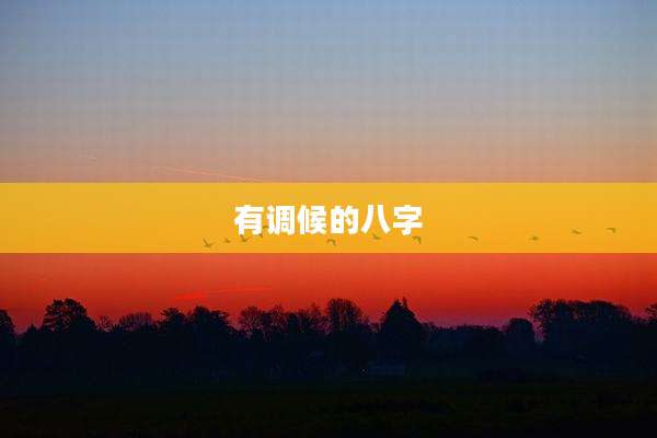 有调候的八字