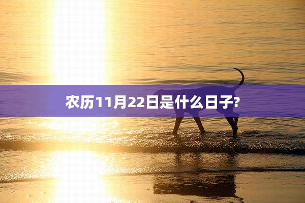 农历11月22日是什么日子?