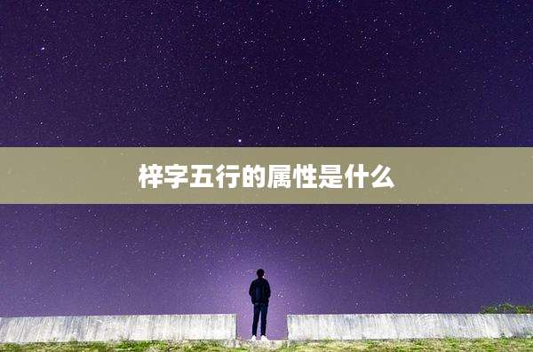 梓字五行的属性是什么