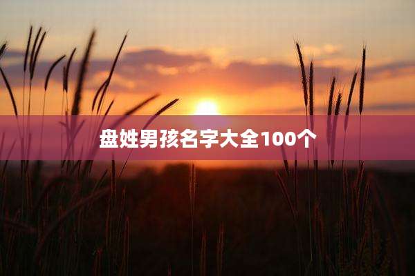 盘姓男孩名字大全100个