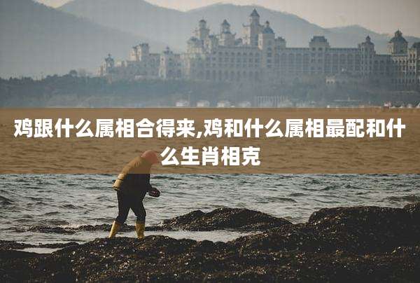 鸡跟什么属相合得来,鸡和什么属相最配和什么生肖相克