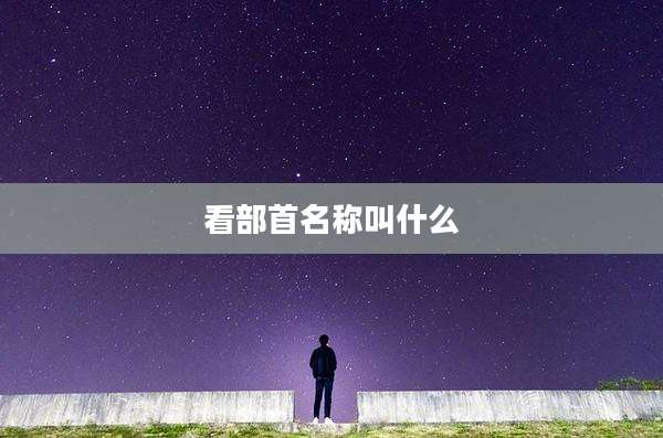 看部首名称叫什么