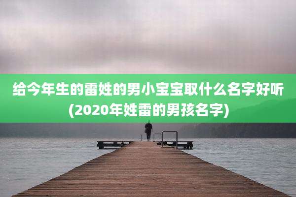给今年生的雷姓的男小宝宝取什么名字好听(2020年姓雷的男孩名字)