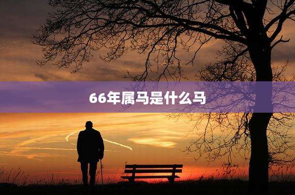 66年属马是什么马