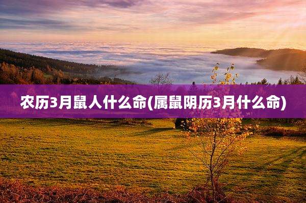 农历3月鼠人什么命(属鼠阴历3月什么命)