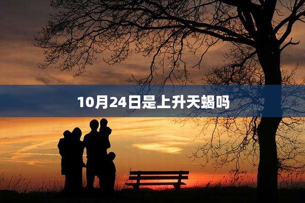 10月24日是上升天蝎吗