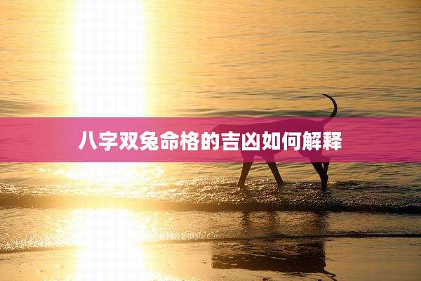 八字双兔命格的吉凶如何解释