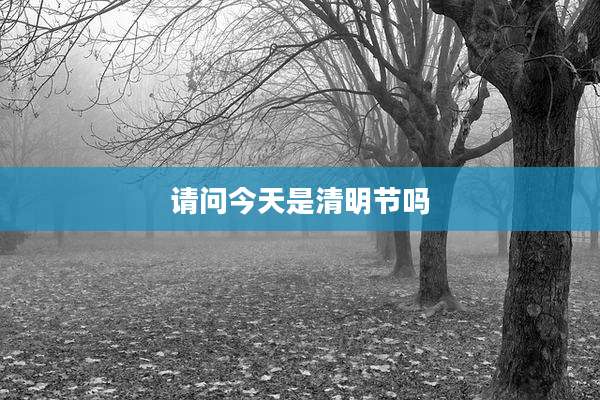 请问今天是清明节吗