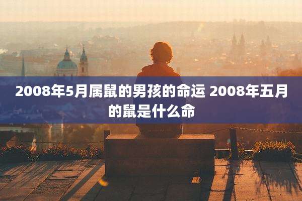 2008年5月属鼠的男孩的命运 2008年五月的鼠是什么命