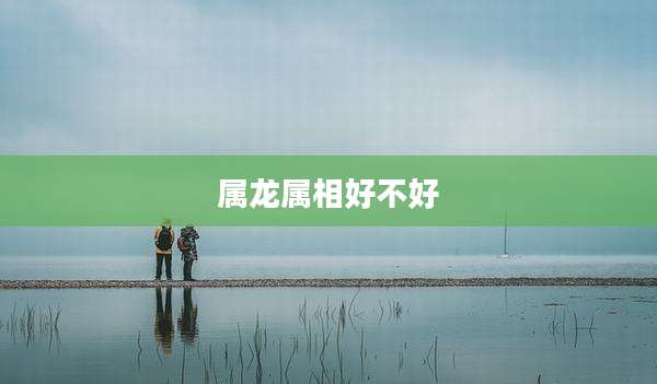 属龙属相好不好