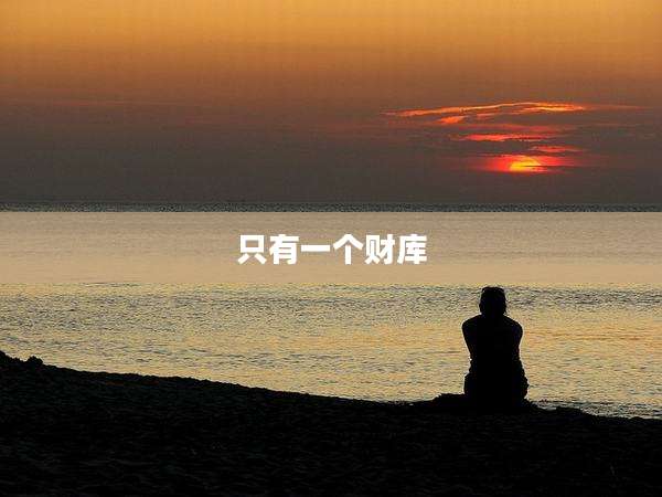 只有一个财库