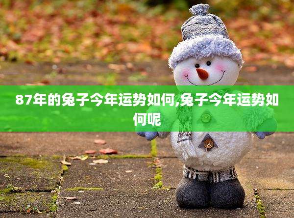 87年的兔子今年运势如何,兔子今年运势如何呢