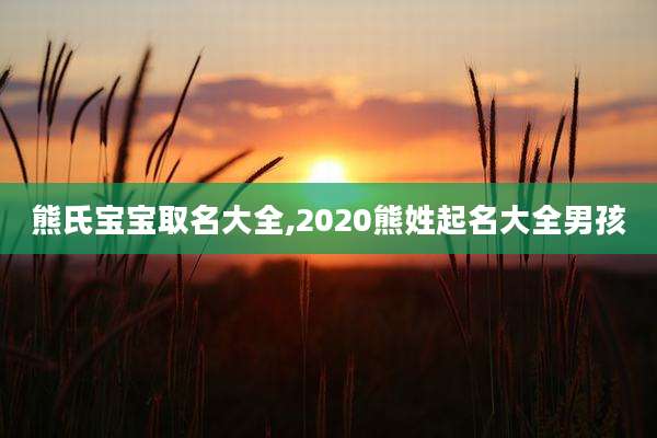 熊氏宝宝取名大全,2020熊姓起名大全男孩