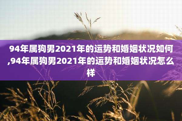 94年属狗男2021年的运势和婚姻状况如何,94年属狗男2021年的运势和婚姻状况怎么样