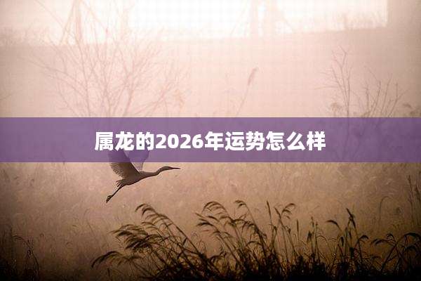 属龙的2026年运势怎么样