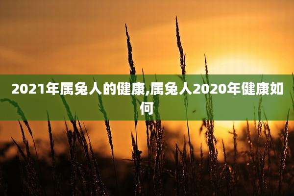 2021年属兔人的健康,属兔人2020年健康如何