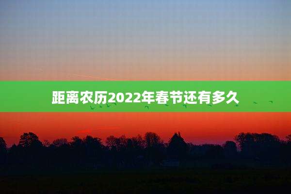 距离农历2022年春节还有多久